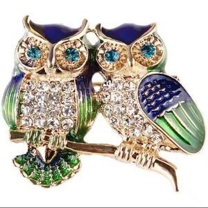 New Twin Owls Crystal Brooch Blue Green Fall Autumn Gift Hat Scarf Bag Jacket